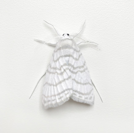 Elizabeth Thomson, Moth #9, 2017