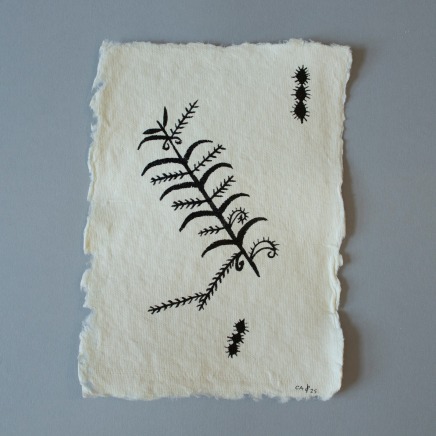 Cora-Allan, Tagaloa VI, 2025