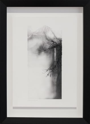 Simon Edwards, Study The Conjuror, 2018