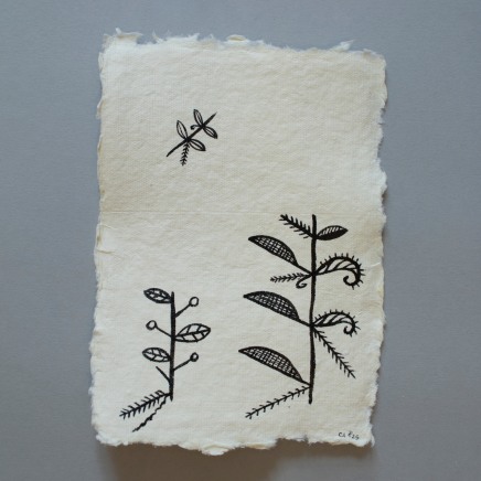 Cora-Allan, Tagaloa I, 2025