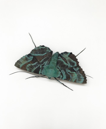 Elizabeth Thomson, Patina Moth 2, 2018