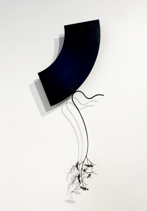 Bing Dawe, Under a Night Sky Below the Southern Cross Small Fry Galaxiidae Cling. Composition with Fsh, Branches and Voids., 2019