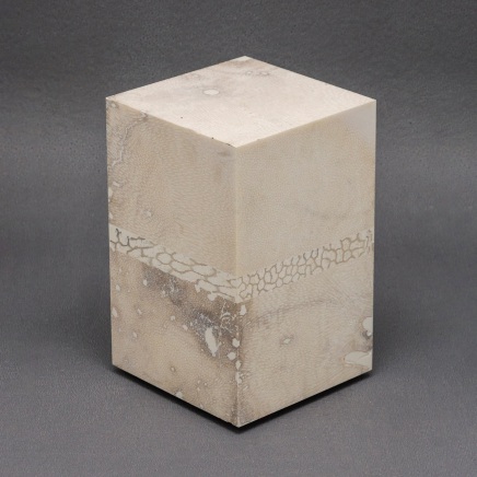 Chauncey Flay, Seawall #58, 2024