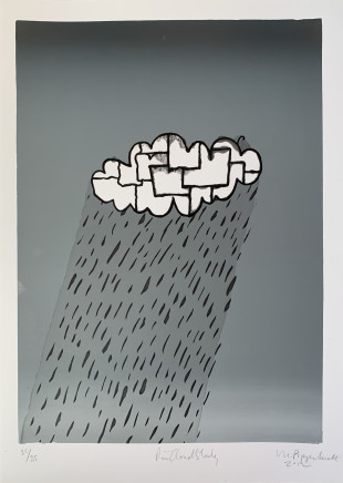 Martin Poppelwell, Rain Cloud Study, 2012
