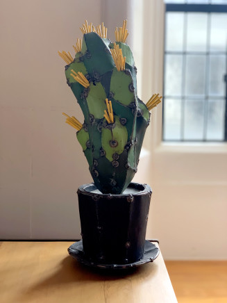 Hannah Kidd, Don't Touch Me, Cactus, 2019