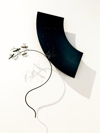 Bing Dawe, Under a Night Sky Below the Constellation Aquarius Small Fry Galaxiidae Cling. Composition with Fish, Branches and Voids, 2019