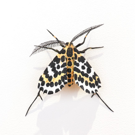 Elizabeth Thomson, Moth #28, 2020