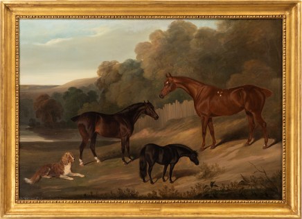 David Dalby of York (1794-1836), A dark bay hunter, a bay hunter, a black pony and a spaniel in an extensive landscape