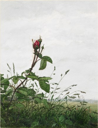 Léon Bonvin (1834-1866), Rose bush in front of a landscape, 1863, watercolour, 24,3 x 18,7 cm, The Walters Art Museum, Baltimore