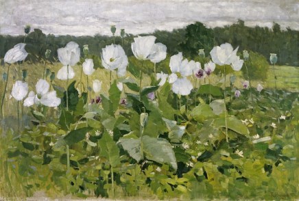 Karl Hagemeister (1848-1933), White poppies, 1881, oil on canvas, Niedersächsisches Landesmuseum Hannover