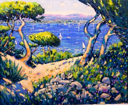 Twisted Pines Near Cassis Oil On Canvas 61 X 50 Cms 1800