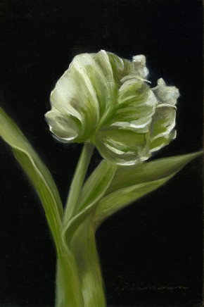 Tanja Moderscheim, Parrot Tulip II