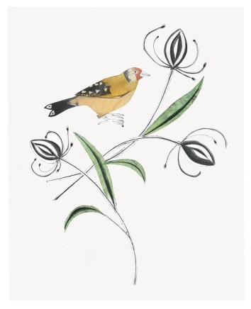 Beatrice Forshall, Goldfinch Hand-painted drypoint etching