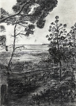 Ted Dwyer 1969- UK, AustraliaGreenfields II Signed, titled verso Mixed media on paper 30 x 20cm