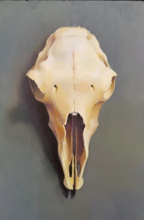 James Guy Eccleston, Sheep Skull Study