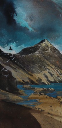 Malcolm Edwards, Gulls mobbing Sea Eagle