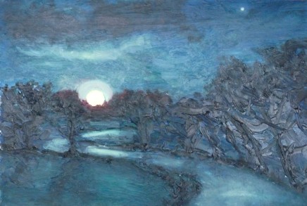 David Lloyd Griffith, Super Moon - Trofarth