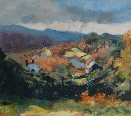 Anne Aspinall, Plas Llandecwyn and Lake