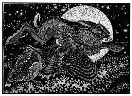 Colin See-Paynton, Nocturnal Encounters - Hare & Woodcocks