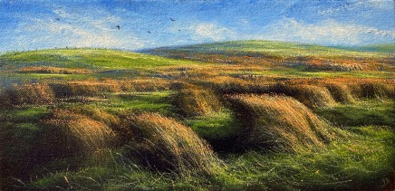 Gerald Dewsbury, March Rushes