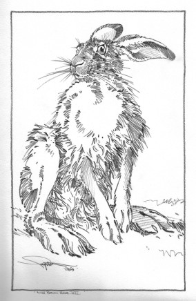 Colin See-Paynton, Wild Brown Hare VII