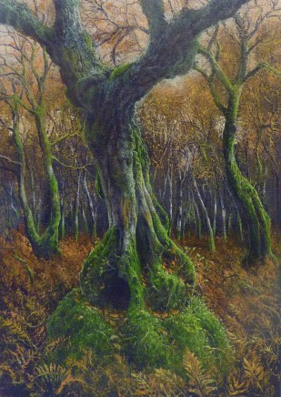 Gerald Dewsbury, Autumn Birch Bole