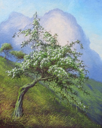 Gerald Dewsbury, May Tree, Benglog