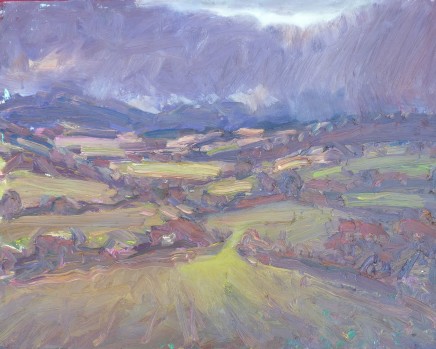 David Lloyd Griffith, Winter Rain, Dyffryn Elwy