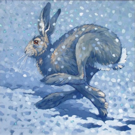Colin See-Paynton, Snow Hare I