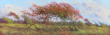 Gerald Dewsbury, Berried Hawthorn
