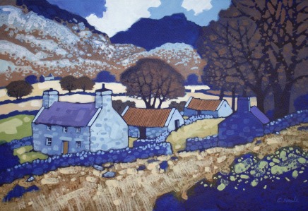 Chris Neale, Rhinog Fawr