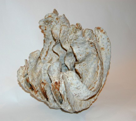 Beverly Bell-Hughes, Sea Purse - Cream