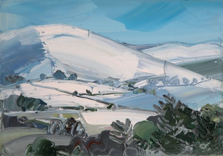 Sarah Carvell, Moel Arthur Snow, View from the Garden