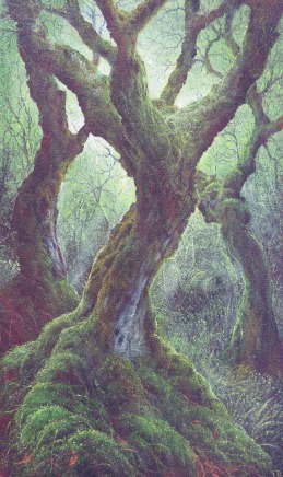 Gerald Dewsbury, The Twirling Tree, Study