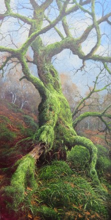 Gerald Dewsbury, Ancient Birch Uprooting