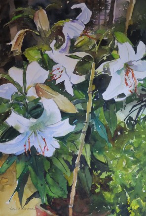 David Grosvenor, White Lilies