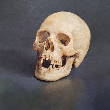 James Guy Eccleston, Skull Study 'Oscar'