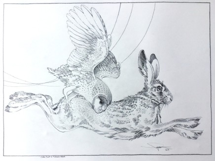 Colin See-Paynton, Nocturnal Encounters - White Owl & Brown Hare