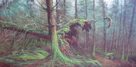 Gerald Dewsbury, Prowling in the Woods near Betws