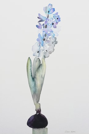 Susan Kane, Hyacinth