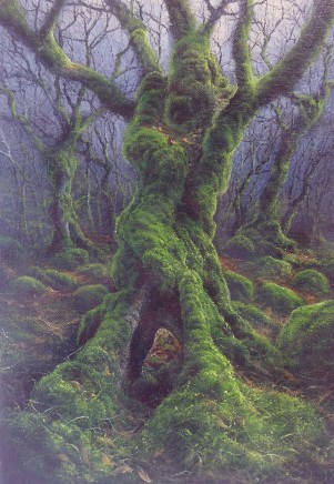 Gerald Dewsbury, Birch Bole I