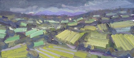 David Lloyd Griffith, July Fields - Dyffryn Dulas II