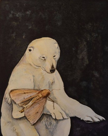 Jackie Morris, Bear and Moth, a Curious Love Story