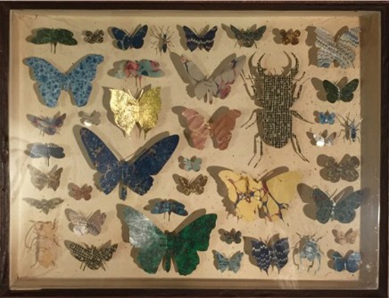 Helen Ward Entomology Case 2 Original drawer Victorian hand marbled paper and enamel entomology pins 30 x 38 x 5.8 cm