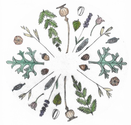 Devi Singh Found Treasures I Hand coloured etching Edition 2 of 14 20 x 20 cm