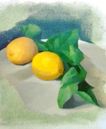 Claudia Newcome Lemon Study Oil on canvas 25 x 25 cm