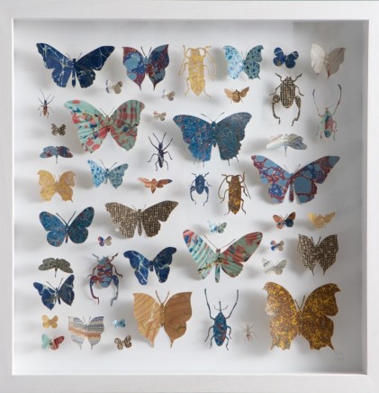 Helen Ward Lepidoptera 4 Victorian hand marbled paper and steel pins 40 x 40 cm