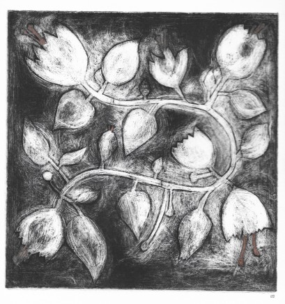 Devi Singh Vine Collograph Edition 1 of 2 20 x 19 cm