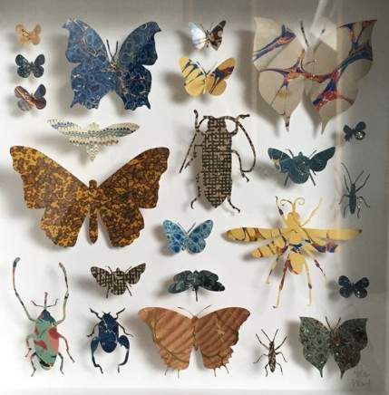 Helen Ward Lepidoptera 5 Victorian hand marbled paper and steel pins 25 x 25 cm