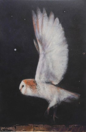 Catherine Hyde, The Wild Night Ascending